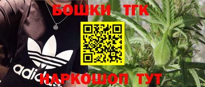 ешки Камышлов