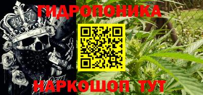 ешки Камышлов
