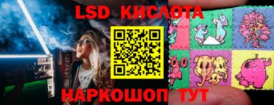 ешки Камышлов