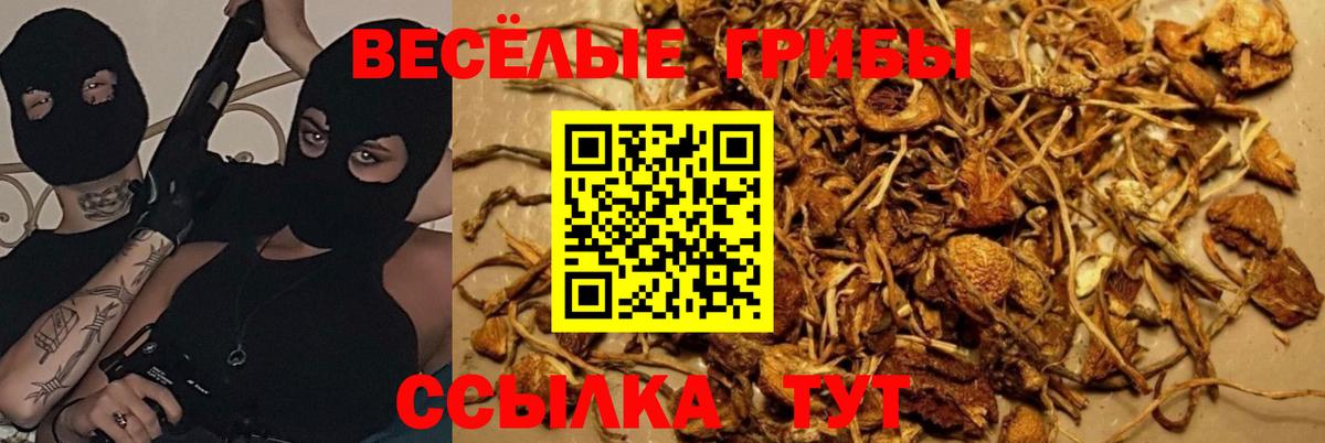 Галлюциногенные грибы GOLDEN TEACHER Лесозаводск